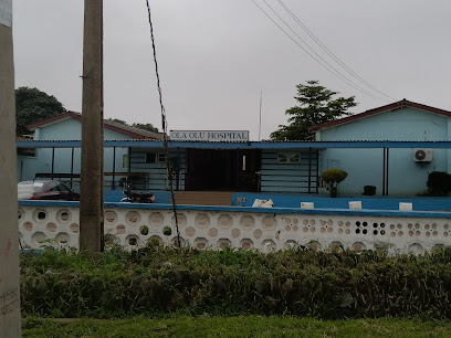 Avon Healthcare Ola Olu Hospital