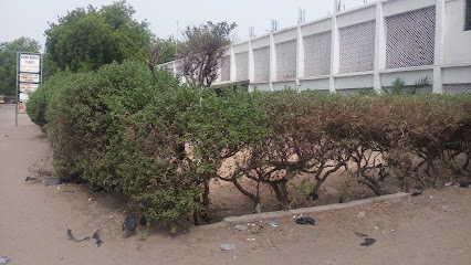 Borno Medical Clinic