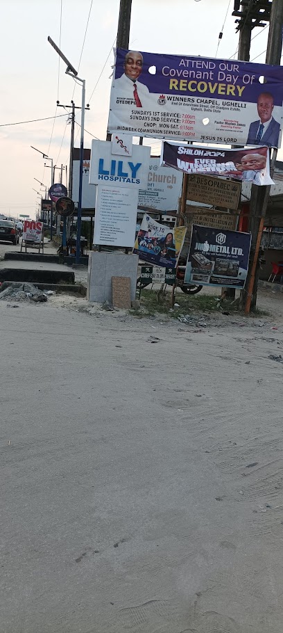 Lily Hospitals Ltd, Okuokoko