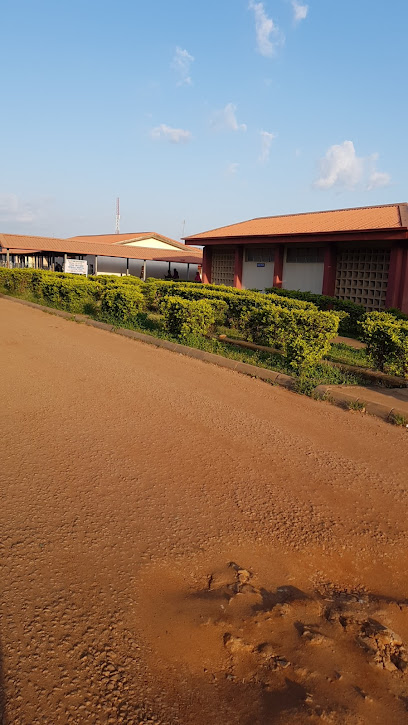 Yusuf Dantsoho Memorial Hospital